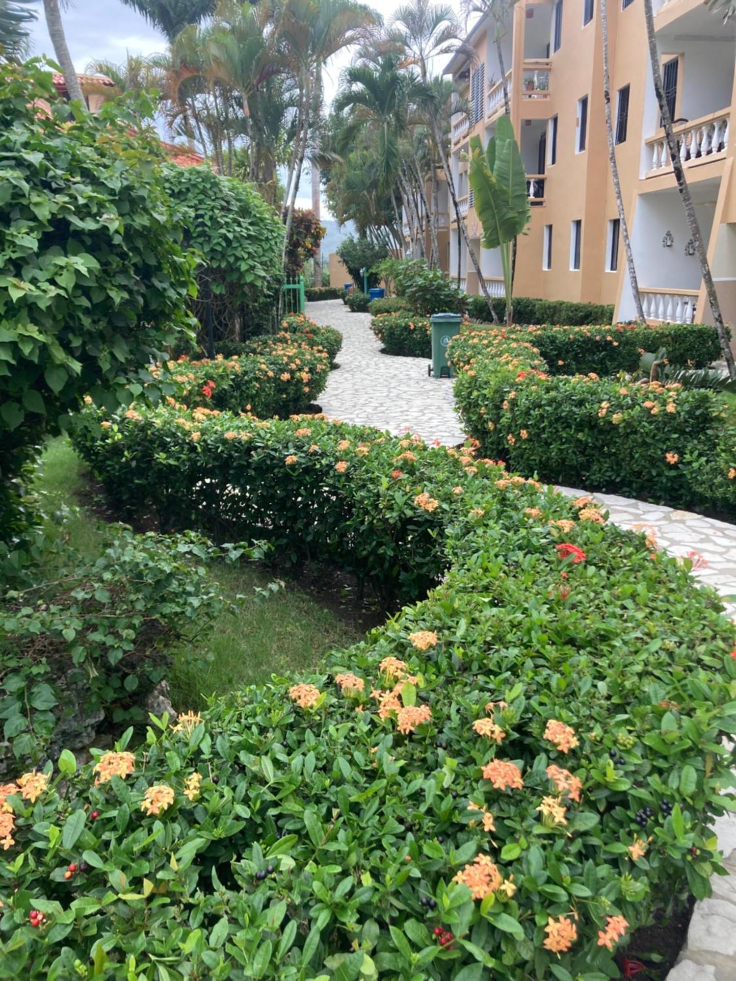 Cita Del Sol City Apartments Cabarete Dış mekan fotoğraf