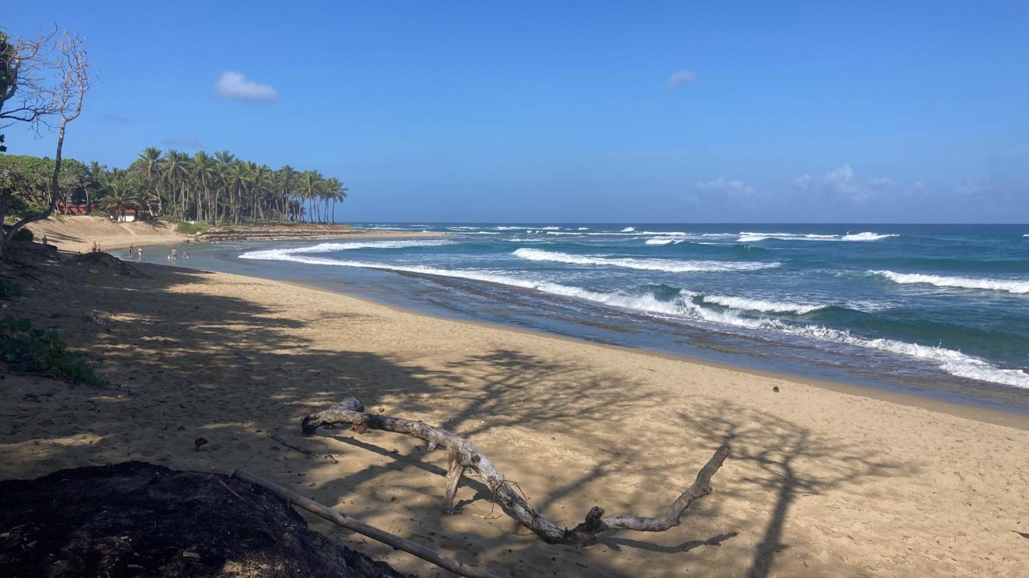 Cita Del Sol City Apartments Cabarete Dış mekan fotoğraf